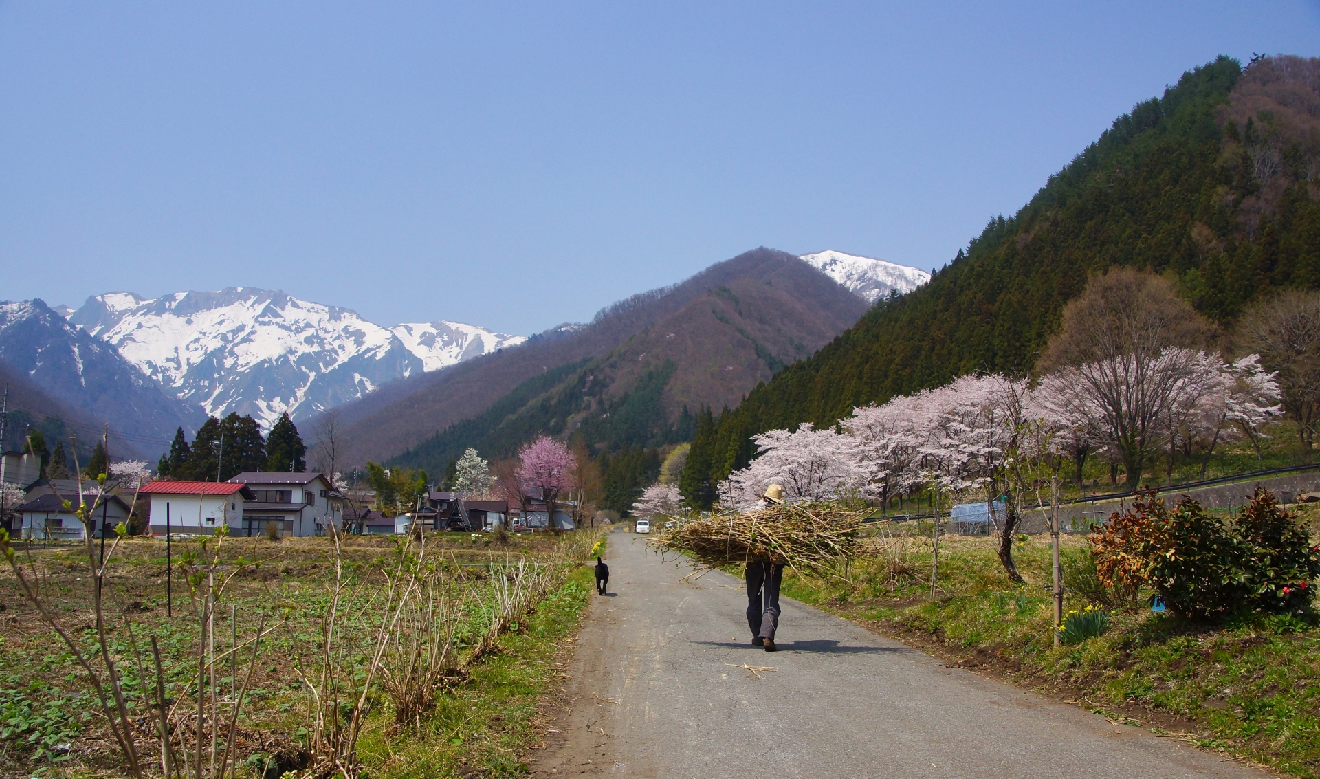 地方で子育て、実際どうなの？都会からの移住を考える方へ